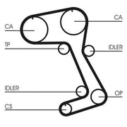 Continental CTAM Timing Belt Cambelt 167 Teeth fits Volvo 740 1987-1989 2.3