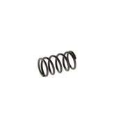 Bosch Compression Spring