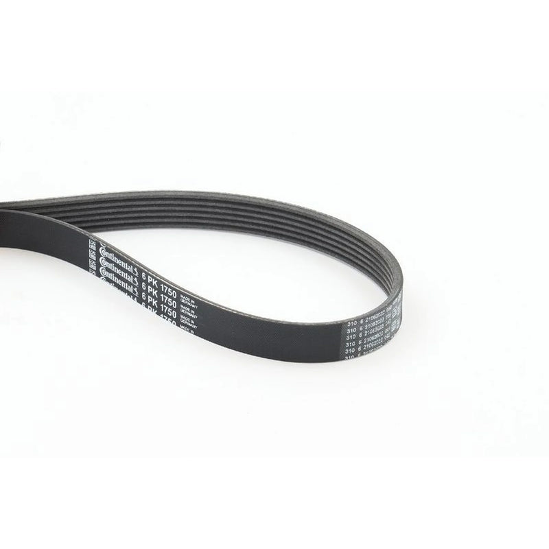 Continental CTAM Multi V-Ribbed Drive Belt fits Alfa Romeo 156 1997-2003 2.4