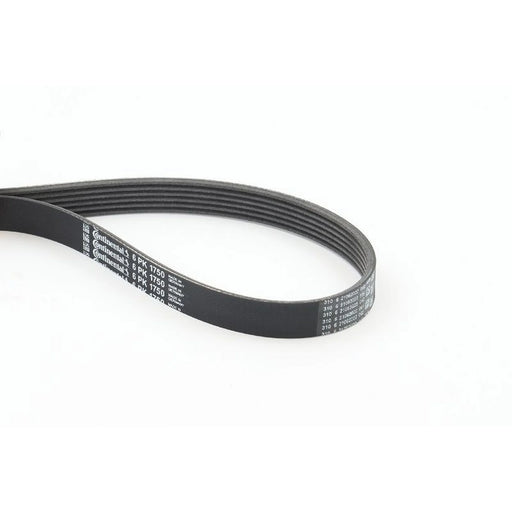 Continental CTAM Multi V-Ribbed Drive Belt fits Alfa Romeo 156 1997-2003 2.4