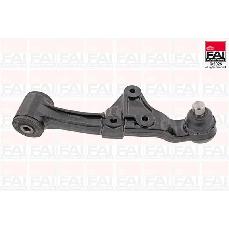 FAI Control/Trailing Arm