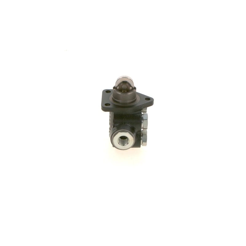 Bosch Fuel Pump Assembly
