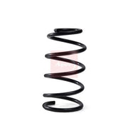 Apec Front Suspension Coil Spring ACS1983
