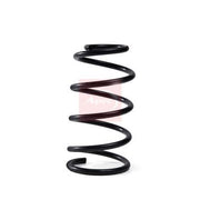 Apec 2 x Suspension Springs fits Ford Focus II 2006-2010 2.0