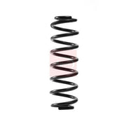 Apec Rear Suspension Coil Spring ACS2353