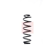 Apec Rear Suspension Coil Spring ACS1516