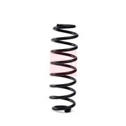 Apec Rear Suspension Coil Spring ACS2018