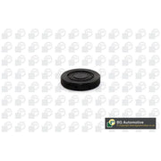 BGA Rocker Arm Shaft Mounting Bore Plug PL4602