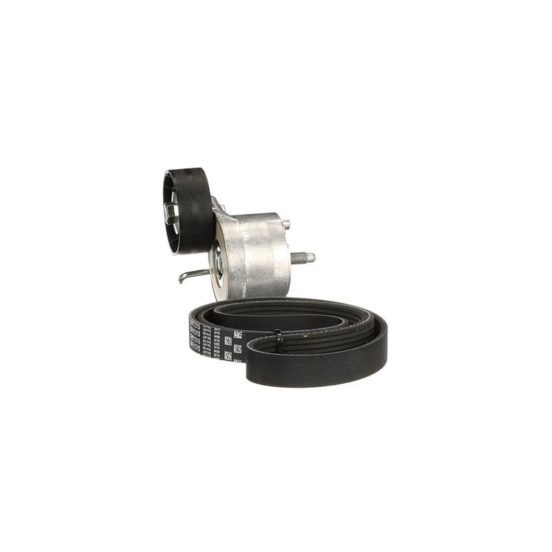 Gates V-Ribbed Belt Set fits Chrysler Ypsilon 2011 on 1.3