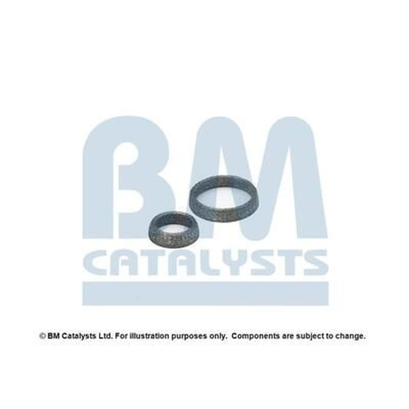 BM Catalysts Fitting Kit FK91439A FK91439A