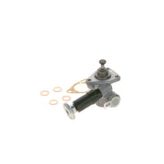 Bosch Fuel Pump Assembly
