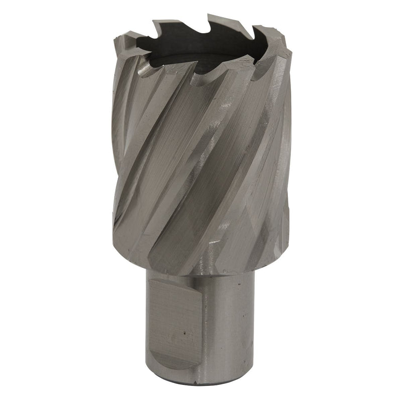 Sealey Rotabor Cutter HSS33mm Cut Depth 25mm RBHSS33S Sealey - Dynamic Drive