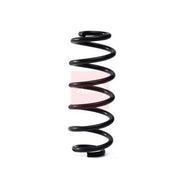 Apec Rear Suspension Coil Spring fits VW Golf V 2004-2009 2.0