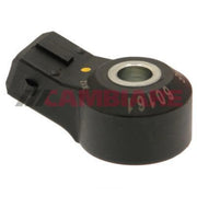 Cambiare Engine Knock Sensor VE369064