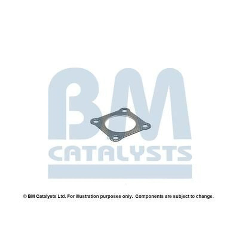 BM Catalysts Fitting Kit FK91529A FK91529A
