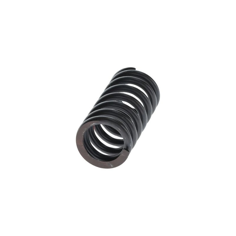 Bosch Compression Spring