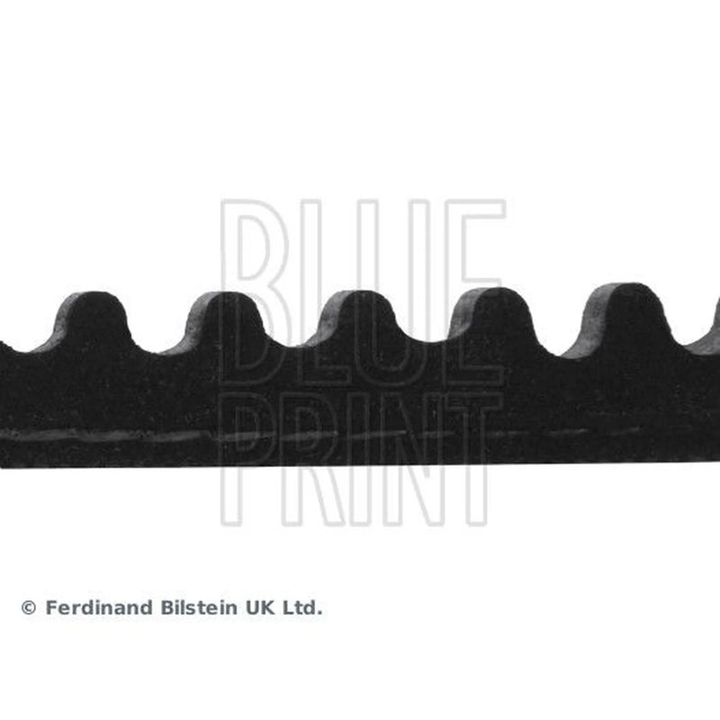 Blue Print V-Belt Auxiliary Drive Belt AD10V800