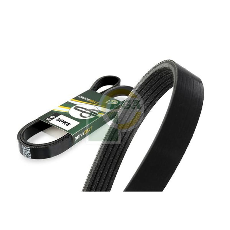BGA Multi V-Ribbed Drive Belt 5PK1230E