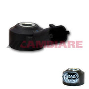 Cambiare Engine Knock Sensor VE369144