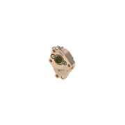 Bosch Fuel Pump Assembly