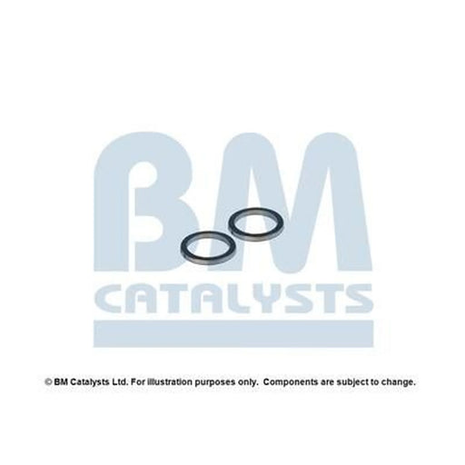 BM Catalysts Fitting Kit FK90710A FK90710A
