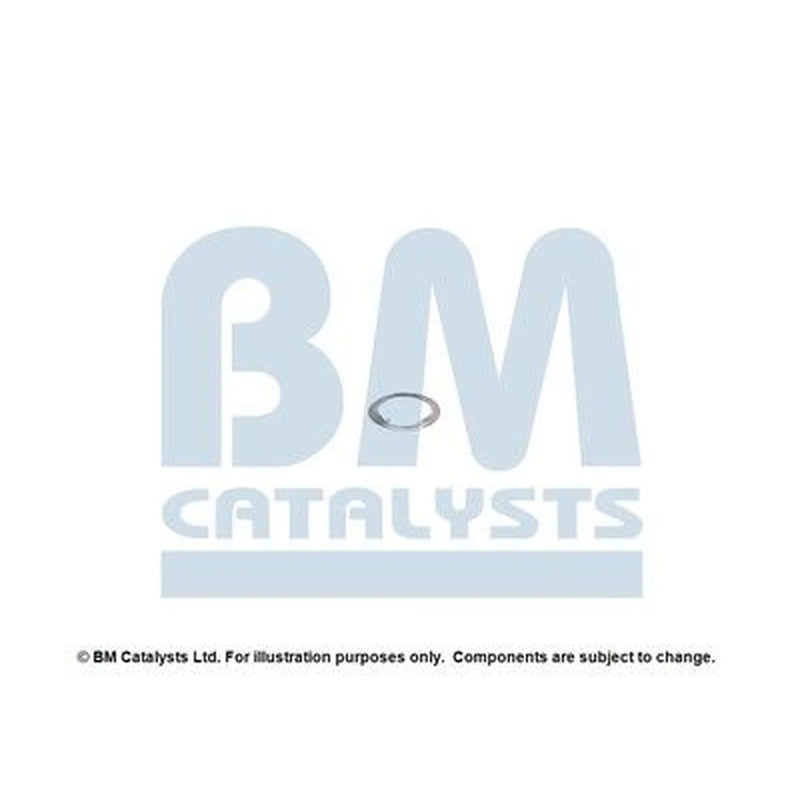 BM Catalysts Fitting Kit FK11166A FK11166A