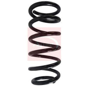 Apec Rear Suspension Coil Spring ACS1619