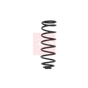 Apec Rear Suspension Coil Spring ACS1632