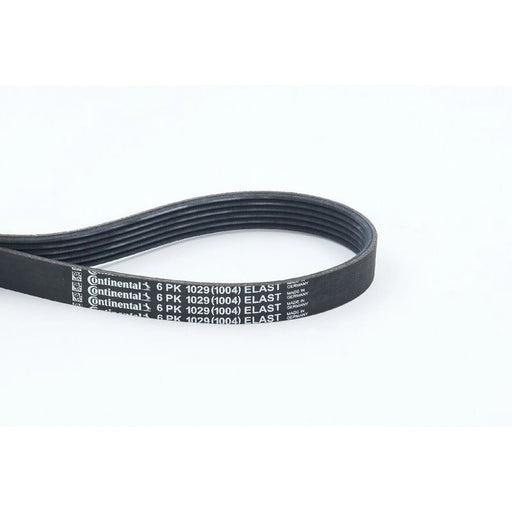 Continental CTAM Multi V-Ribbed Drive Belt fits Ford B-Max 2012-2017 1.4 1.6