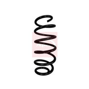Apec Front Suspension Coil Spring ACS2045