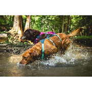 Ruffwear Flagline Dog Harness with Handle in Basalt Grey (Small) Ruffwear - Bars 4 Cars