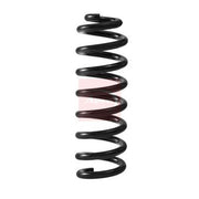 Apec Rear Suspension Coil Spring fits Mercedes-Benz C-Class 2013-2021