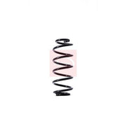 Apec Rear Suspension Coil Spring fits Suzuki Swift III 2005-2015 1.3 1.5