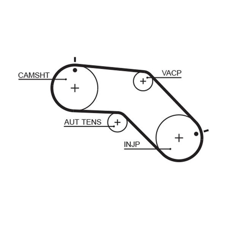 Gates Timing Belt Cambelt 79 Teeth fits Nissan Almera 1995-2000 2.0