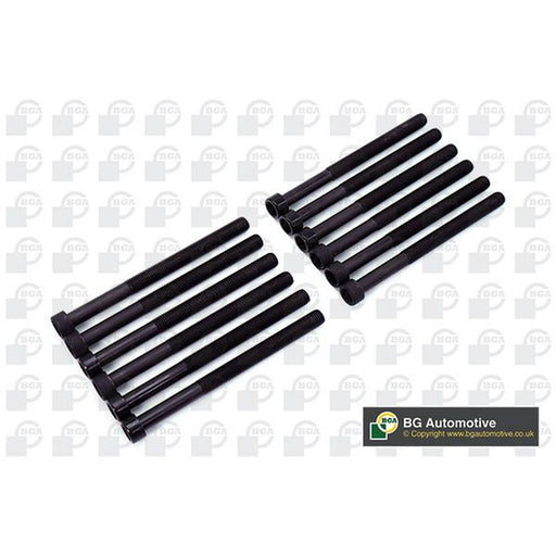 BGA Cylinder Head Bolt Set M12 fits VW Multivan 2003-2009 2.5