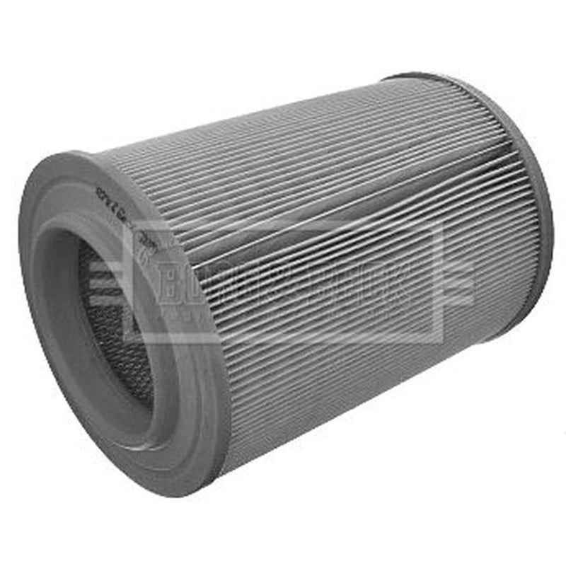 Borg & Beck Engine Air Filter BFA2162