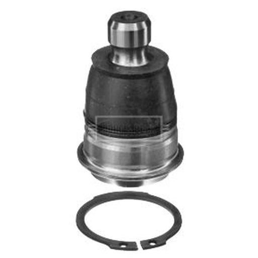 Borg & Beck Ball Joint Lower BBJ5676