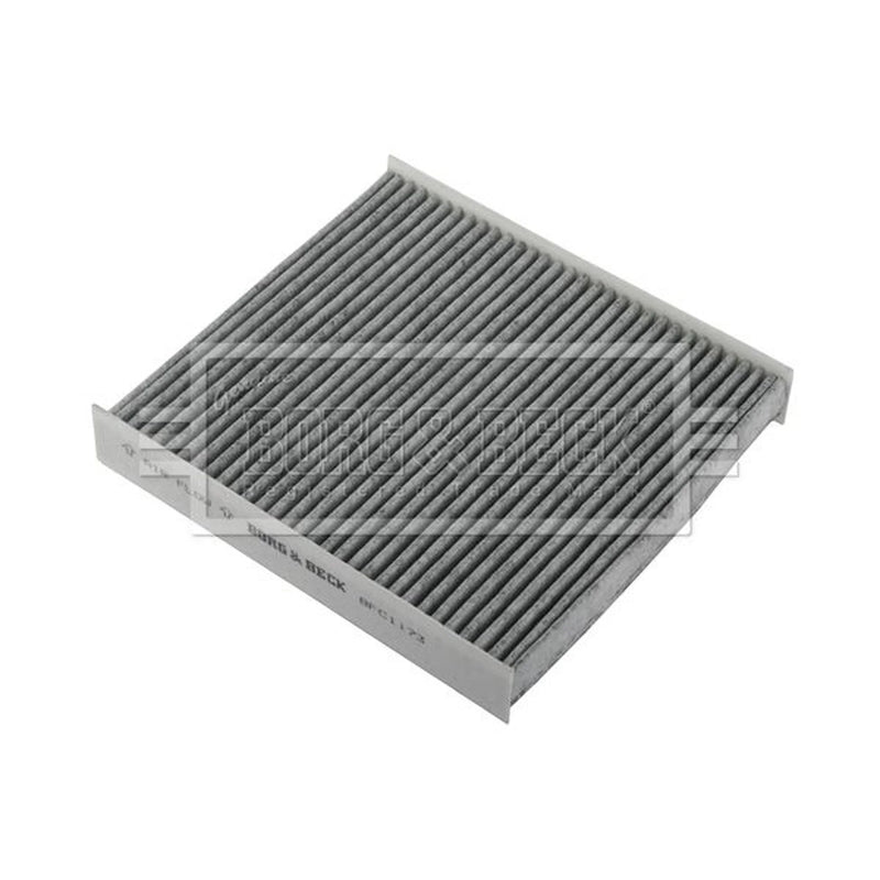 Borg & Beck Cabin Air Filter (Pollen Filter) BFC1173