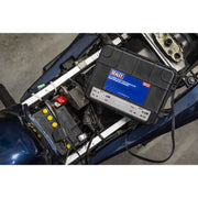 Sealey Two Bank 6/12V 10Amp (2 x 5A) Auto Maintenance Charger MBC250 Sealey  - Dynamic Drive