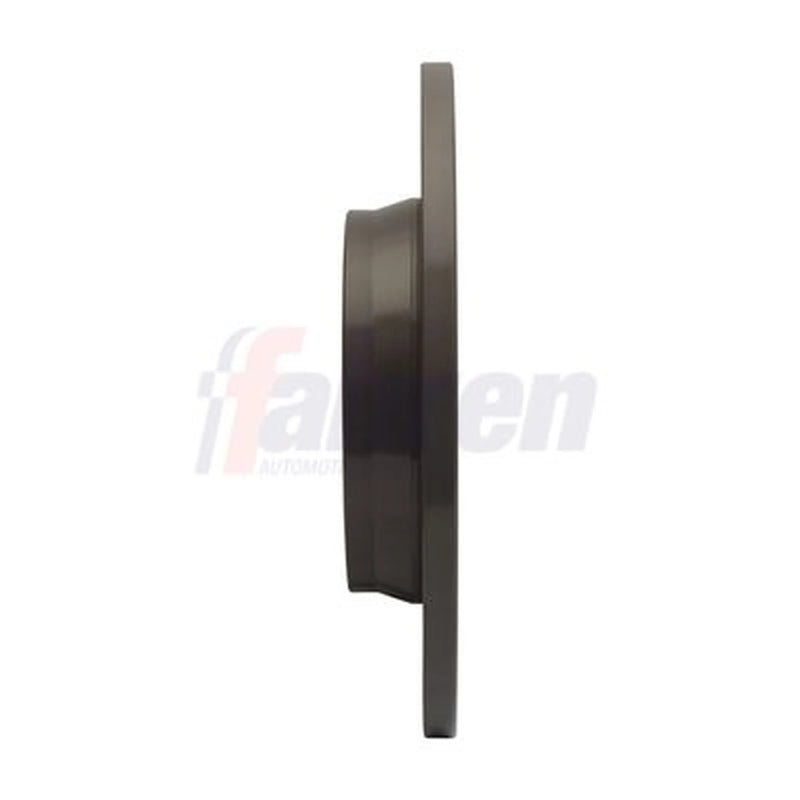 Fahren 2 x Solid Rear Brake Discs FBD6355-x2
