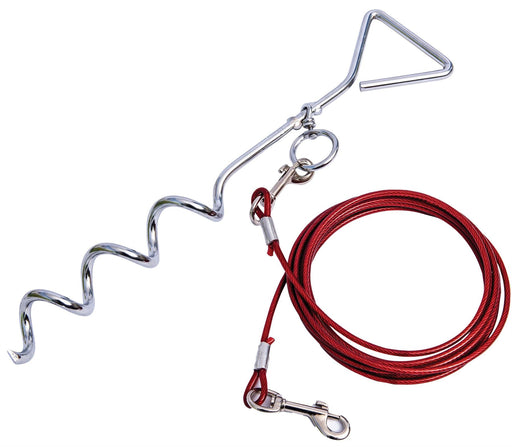 Quest Pet anchor with 4M lead Quest - Dynamic Drive