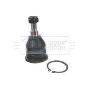 Borg & Beck Ball Joint Lower BBJ5314