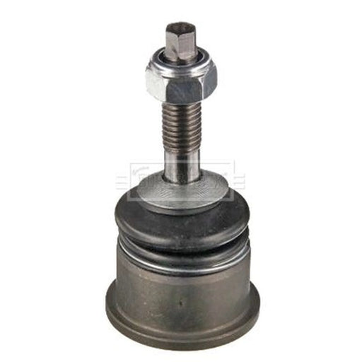 Borg & Beck Ball Joint Lower BBJ5546
