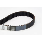 Continental CTAM Timing Belt Cambelt 168 Teeth fits Alfa Romeo 145 1995-2001