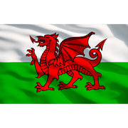 Sealey Toolbox Graphics Pack Wales APTBG03 Sealey - Dynamic Drive