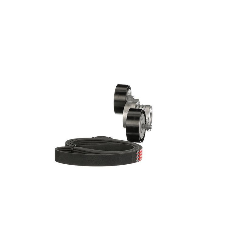 Gates V-Ribbed Belt Set K056PK1548