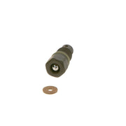 Bosch Fuel Injection Control Valve
