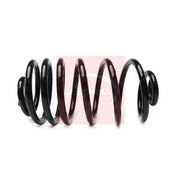 Apec Rear Suspension Coil Spring ACS2073
