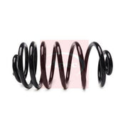Apec Rear Suspension Coil Spring fits Mercedes-Benz Citan Panel 2012-2021