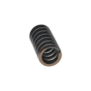 Bosch Compression Spring